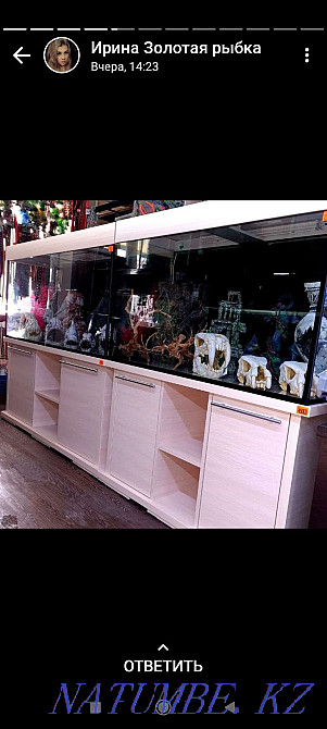 Аквариумы В наличии и под заказ Костанай - изображение 4