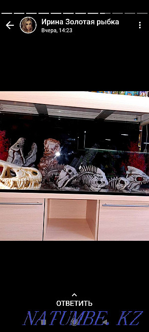 Аквариумы В наличии и под заказ Костанай - изображение 1