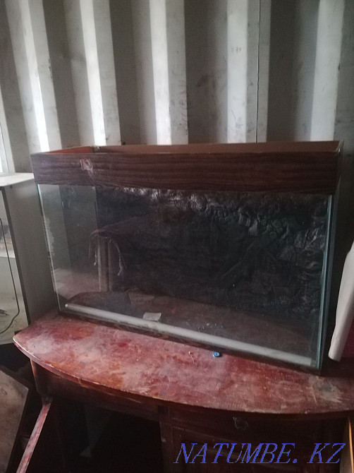 Аквариумы разные Кокшетау - изображение 2