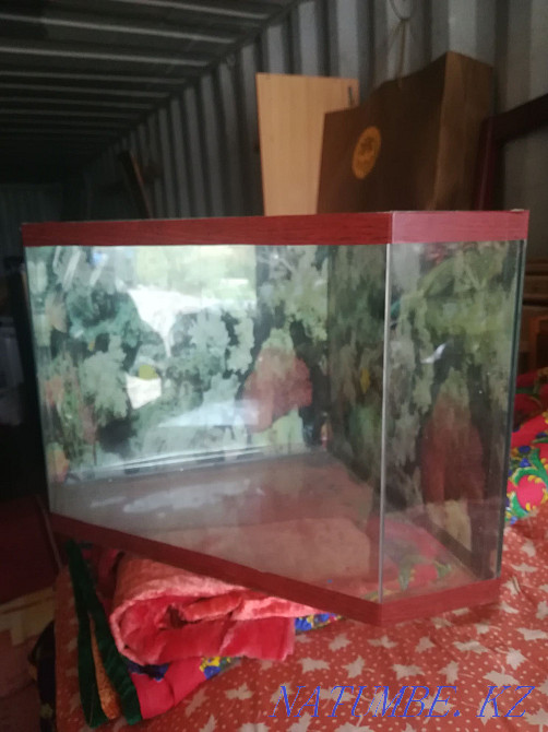 Аквариумы разные Кокшетау - изображение 1