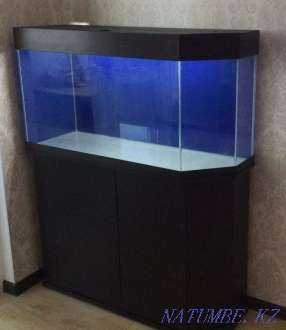 Аквариумы на заказ Кызылорда - изображение 2