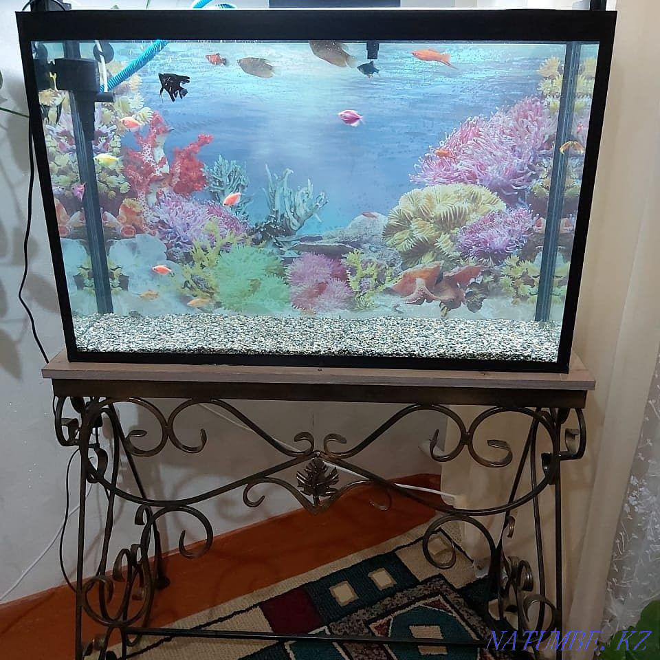 Aquariums to order Kyzylorda - photo 3