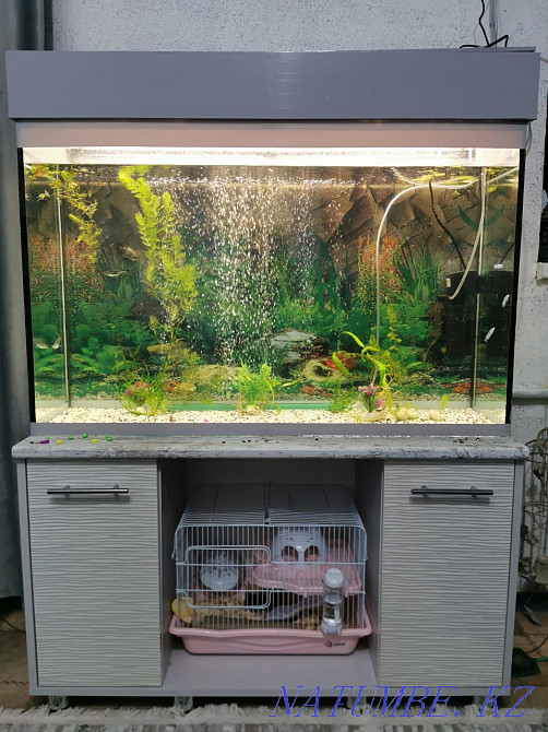 Aquariums to order Kyzylorda - photo 1