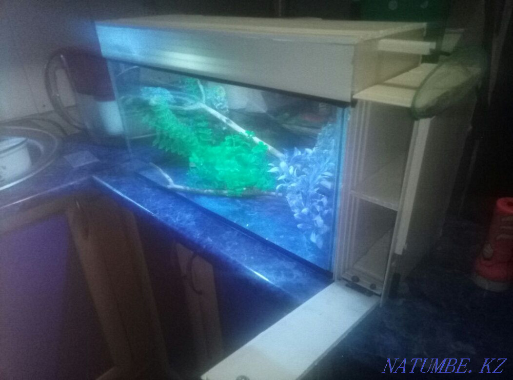Aquariums to order Petropavlovsk - photo 4