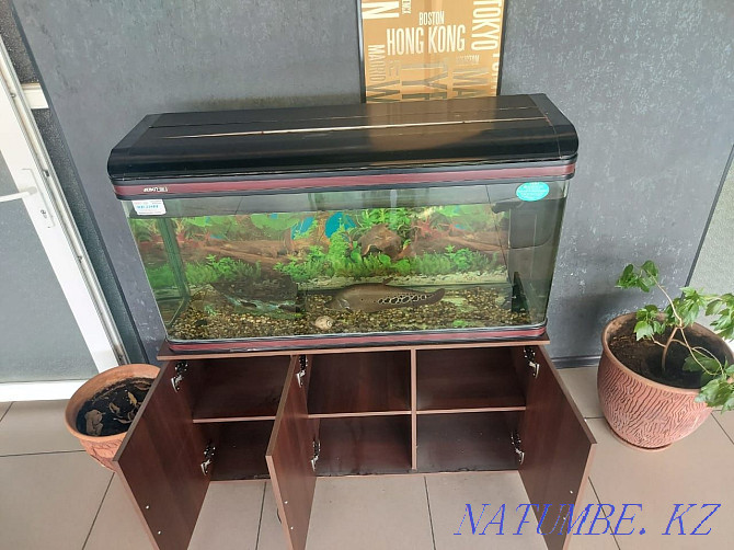 I will sell an aquarium with a curbstone Shymkent - photo 1
