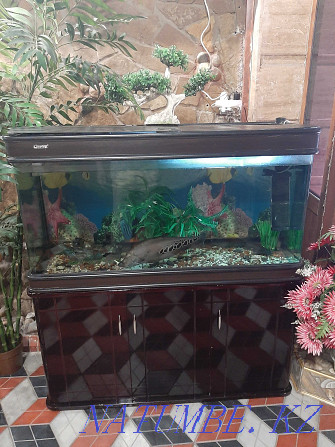 I will sell an aquarium with a curbstone Shymkent - photo 2