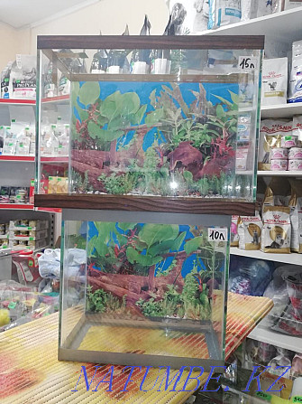 Продам аквариумы Петропавловск - изображение 1