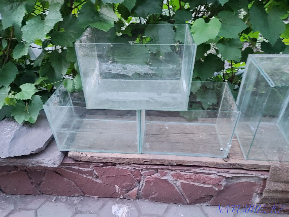 Homemade aquariums Karagandy - photo 1