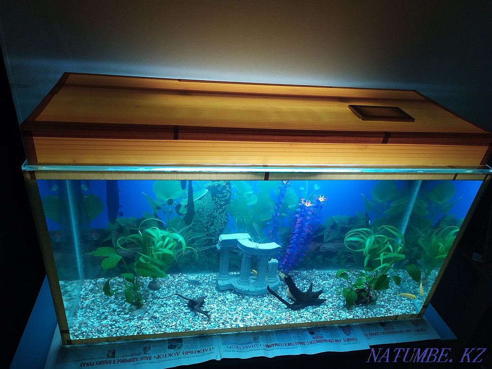 Aquarium Decor Red Coral. Inexpensive aquariums. Almaty - photo 2