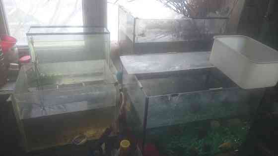 аквариумы для детей недорого Актобе