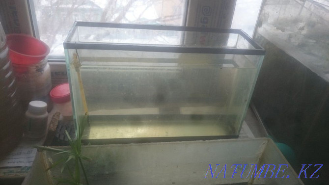 аквариумы для детей недорого Актобе - изображение 1