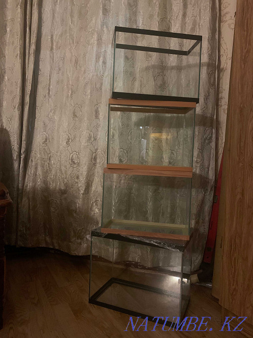 Аквариум сатамыз  Петропавл - изображение 1