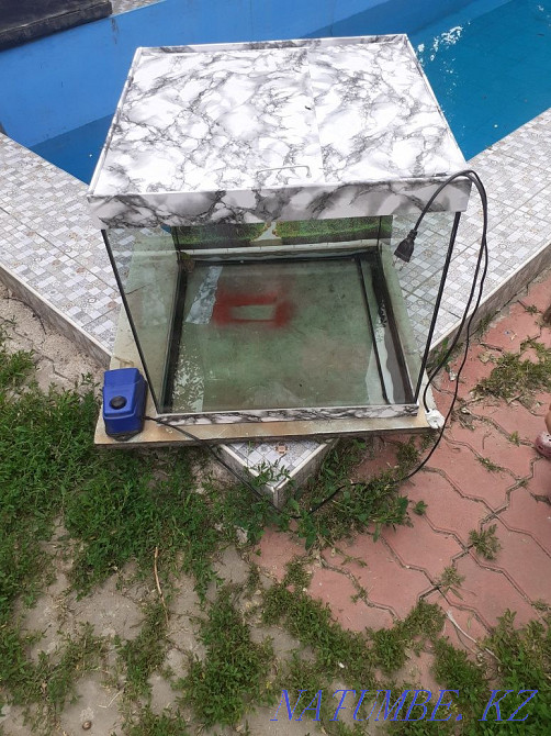 Sell aquariums Almaty - photo 2