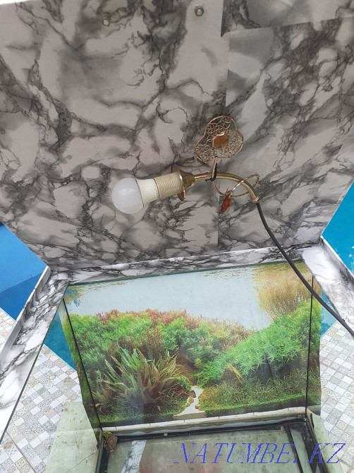 Sell aquariums Almaty - photo 4