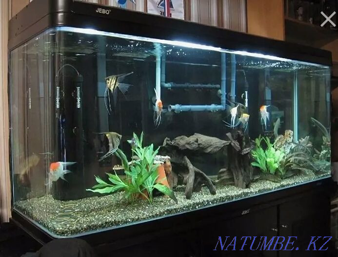 factory aquariums Almaty - photo 1