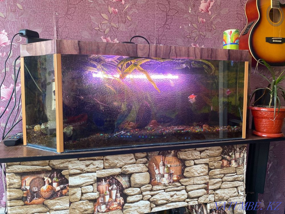 Аквариумы Балыкши - изображение 1