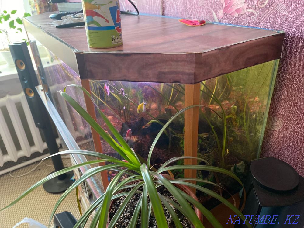 Аквариумы Балыкши - изображение 3