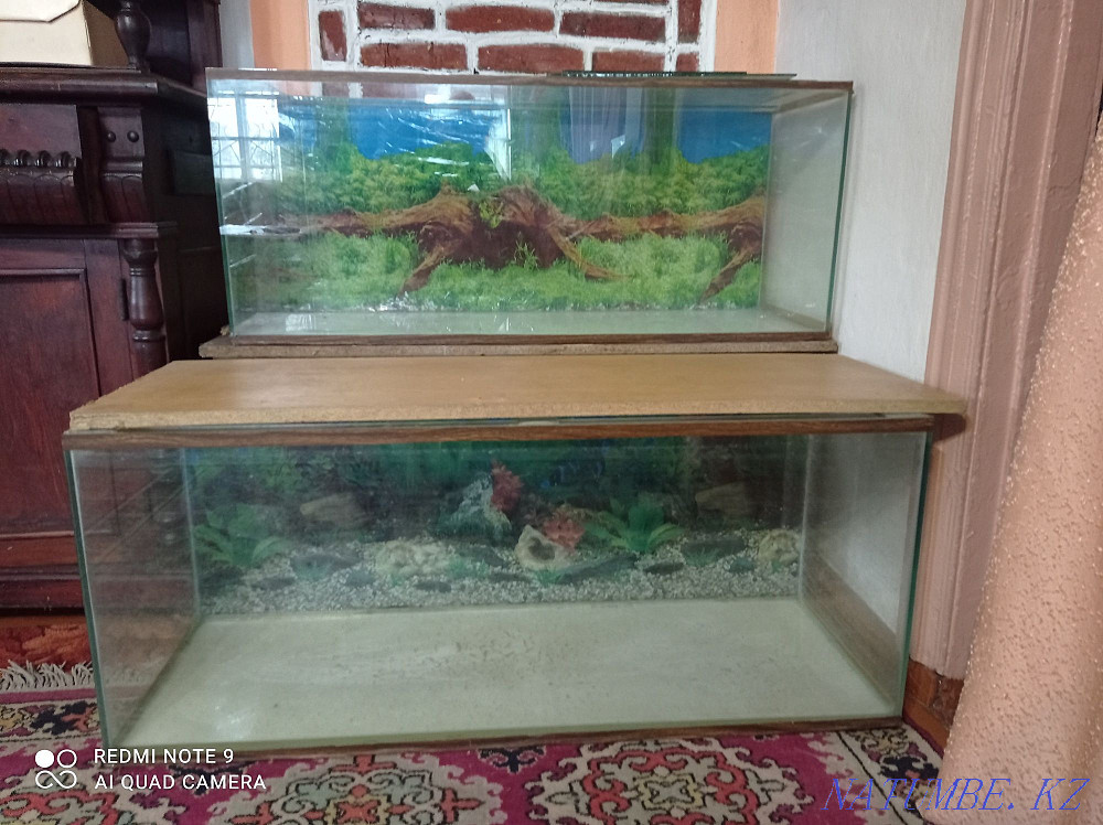 Продам аквариумы Петропавловск - изображение 1