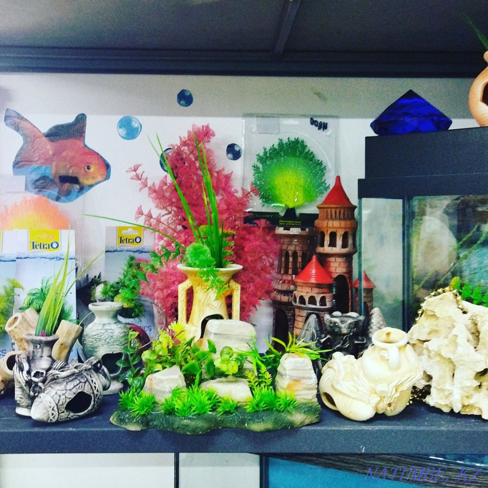 Aquarium 35l.corner In bottlenose dolphin Almaty - photo 2