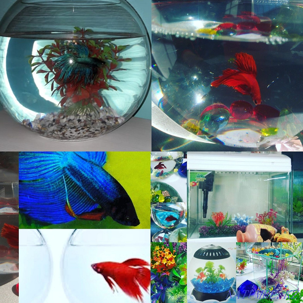 Aquarium with lamp Almaty - photo 2