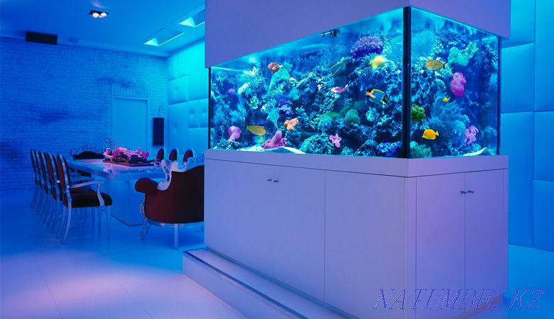 Aquarium to order Almaty - photo 4