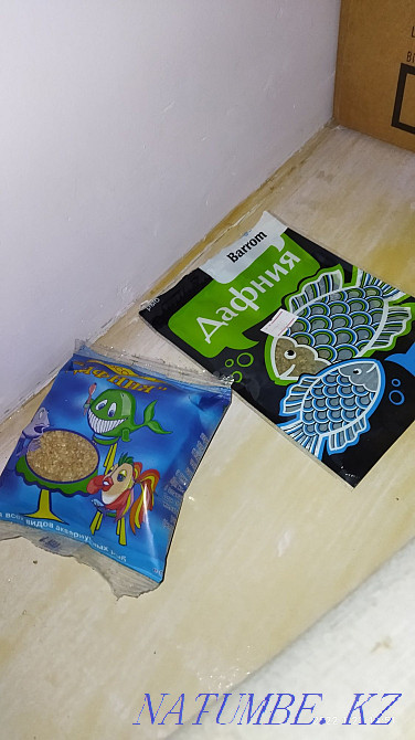 Aquarium . .  - photo 3