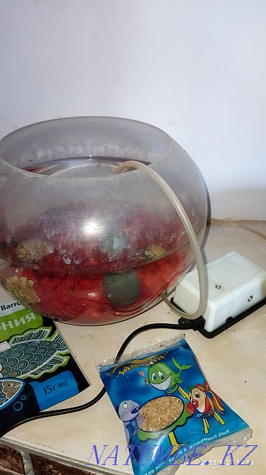 Aquarium . .  - photo 1