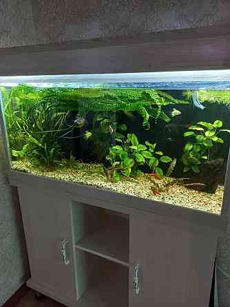 Продам аквариум 175 литров Тараз