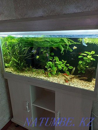 Продам аквариум 175 литров Тараз - изображение 1