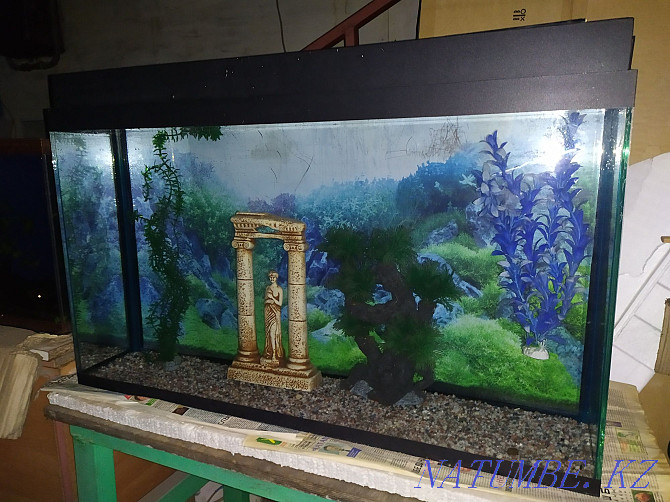 Aquarium 115l + bonuses and fish. Almaty - photo 2