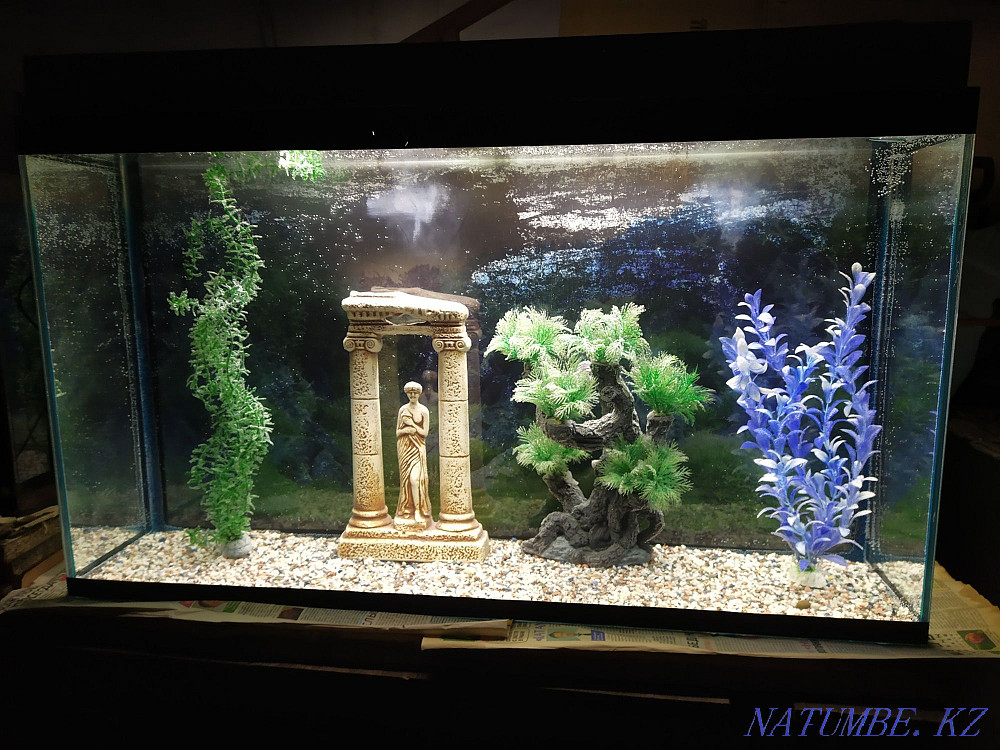 Aquarium 115l + bonuses and fish. Almaty - photo 1
