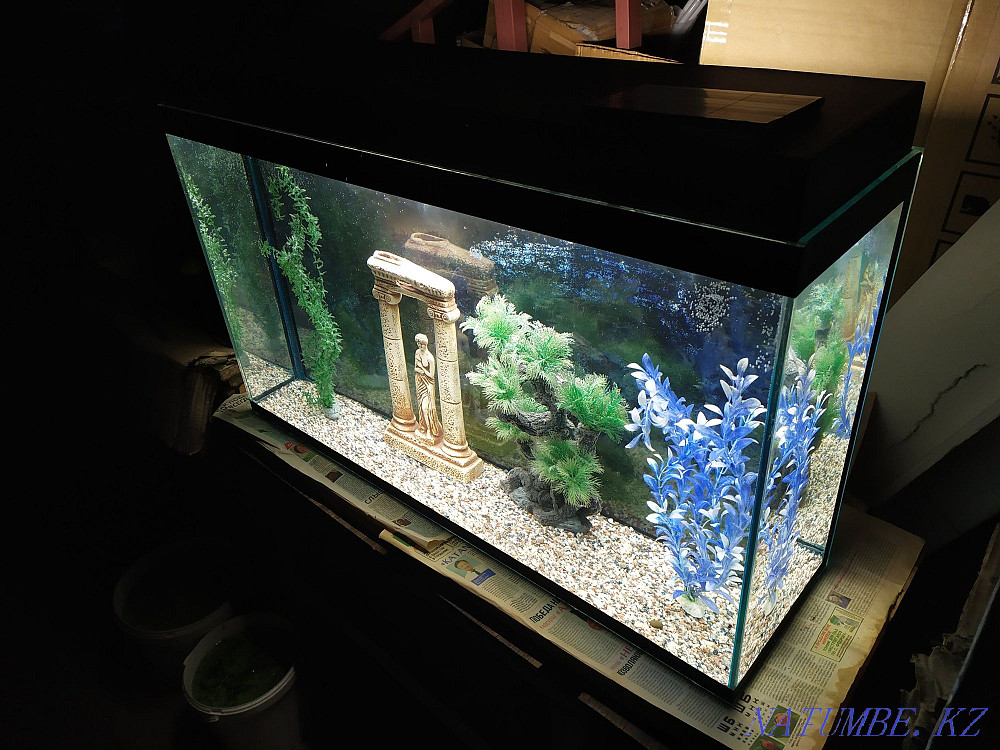 Aquarium 115l + bonuses and fish. Almaty - photo 4