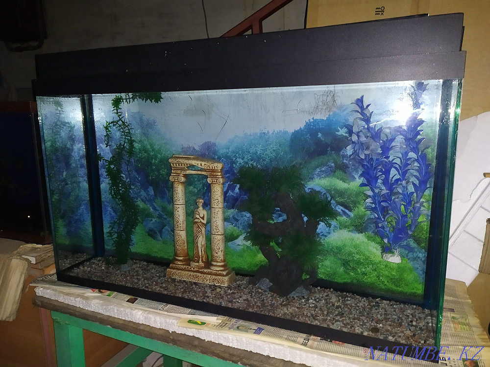Aquarium 115l + bonuses and fish. Almaty - photo 2