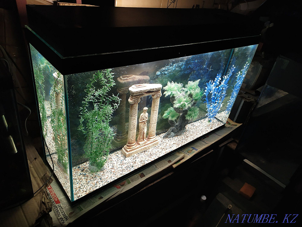 Aquarium 115l + bonuses and fish. Almaty - photo 3