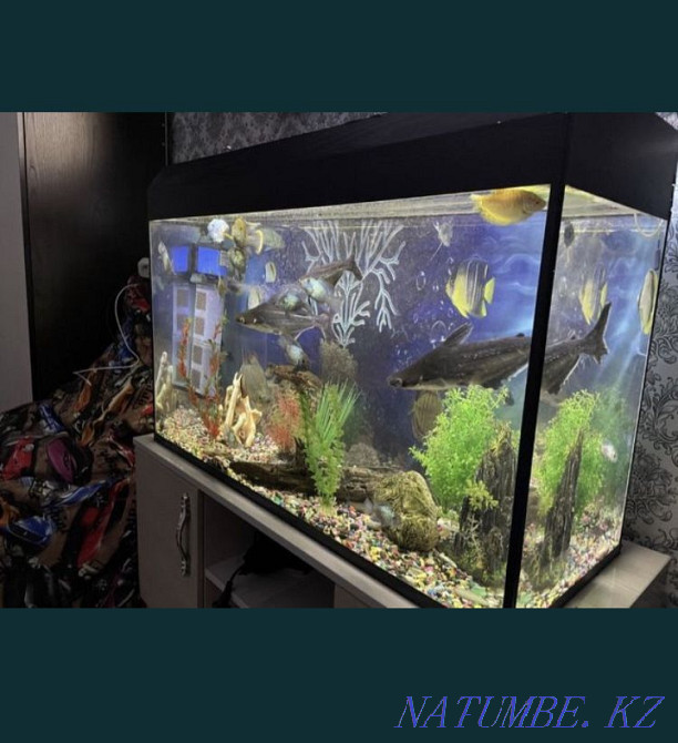 Аквариум полный комплект 180 л Сарыкамыс - изображение 1