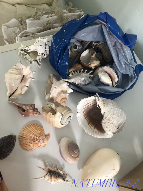 Аквариум полный комплект 180 л Сарыкамыс - изображение 2