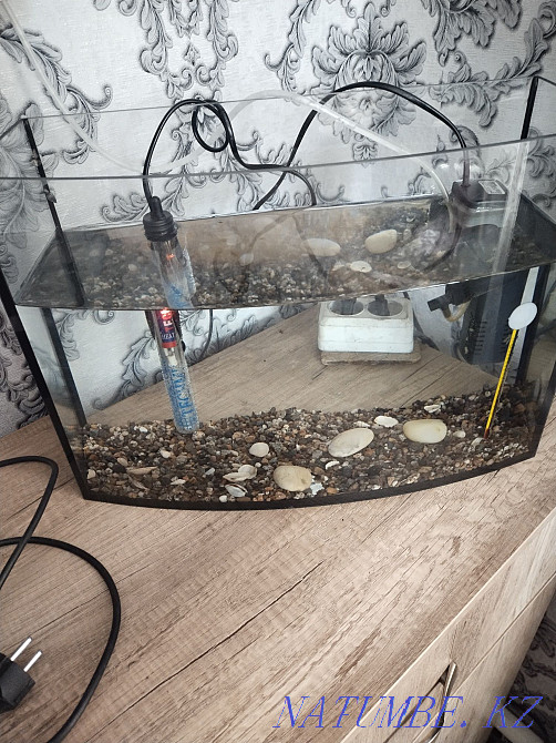 Аквариум и рыбки  - изображение 1