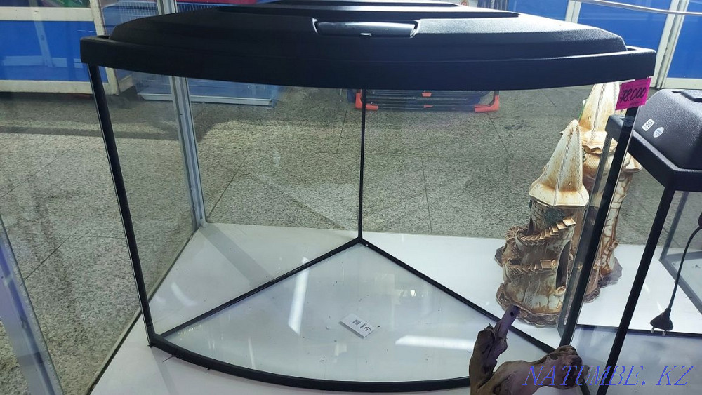 Продам угловой аквариум дэльта на 80 литров Усть-Каменогорск - изображение 1