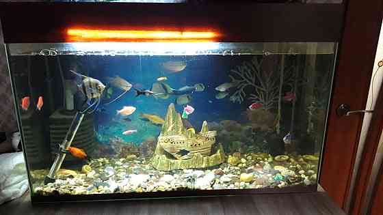 Продам аквариум на 100 литров  Қарағанды
