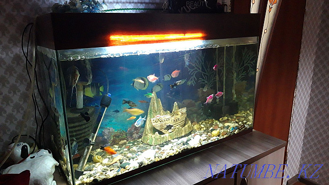Продам аквариум на 100 литров Караганда - изображение 2