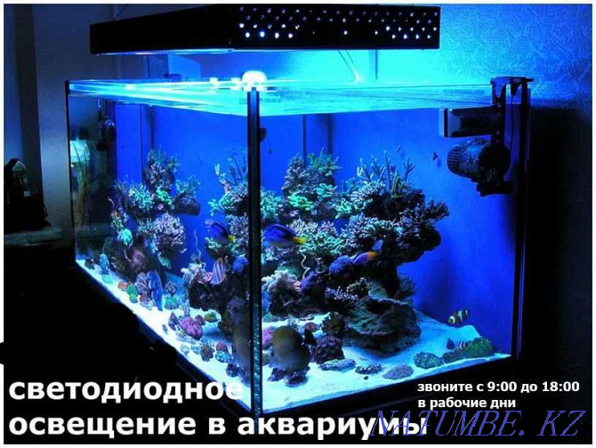 в аквариум под ваш размер Светодиодное освещение LED светильник Алматы - изображение 1