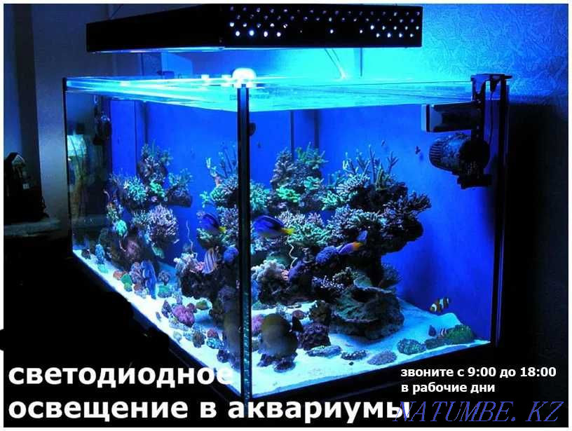 to the aquarium according to your size LED lighting LED lamp Almaty - photo 1