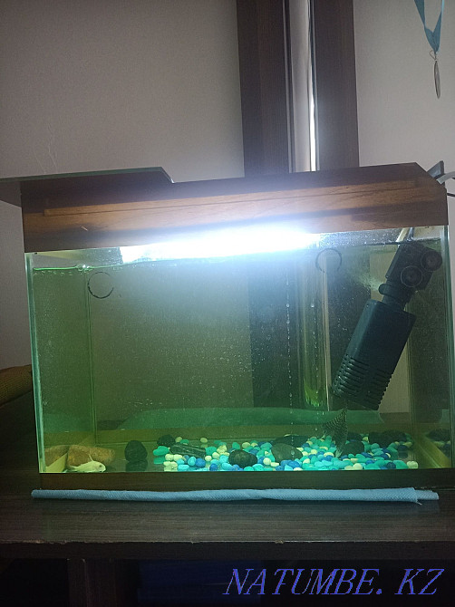 Aquarium 30 liters for sale. Кокпекты - photo 1