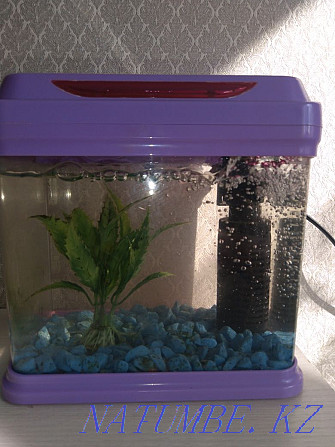 Продам аквариум в отличном качестве Семей - изображение 1