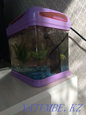 Продам аквариум в отличном качестве Семей - изображение 3