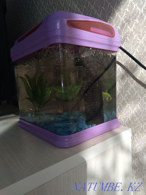 high quality aquarium for sale Semey - photo 3