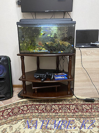 Aquarium for sale with all fish and accessories Astana - photo 3