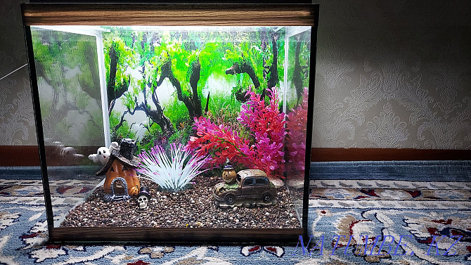 Готовые аквариумы на подарок Алматы - изображение 4