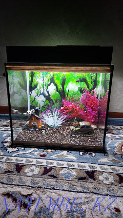 Ready-made aquariums for a gift Almaty - photo 3