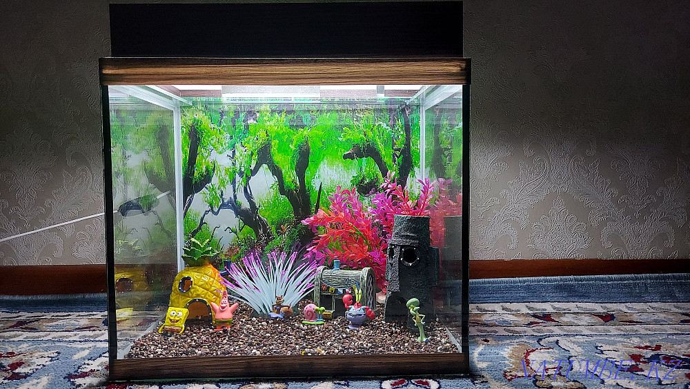 Готовые аквариумы на подарок Алматы - изображение 2